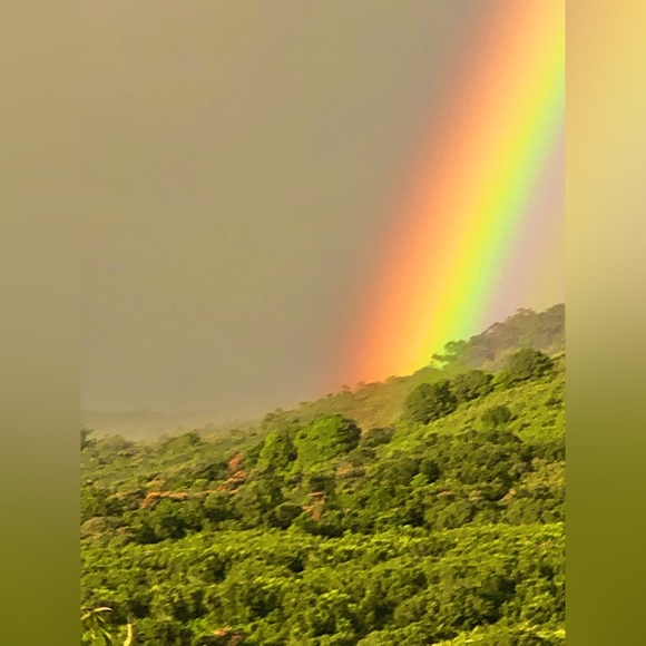 Meet your Posher, Pineapple Betsy - Picture 8 of 12